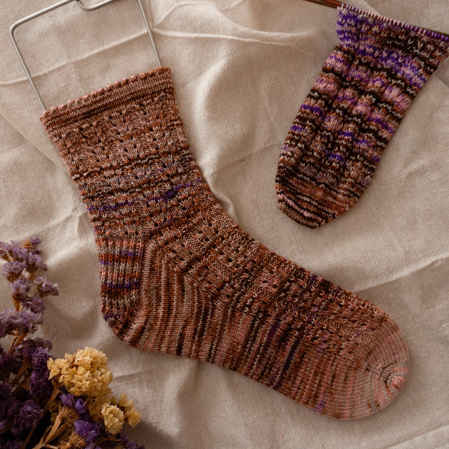 Sock Club 2023 - Colección completa