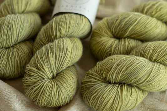 Lichen / Soft Singles