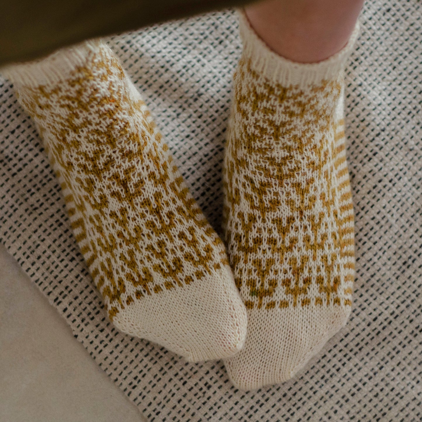 Sock Club 2022 - Colección completa