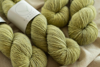 Lichen / Soft Singles