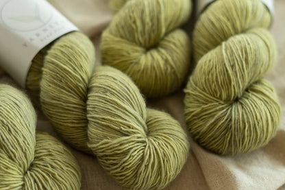 Lichen / Soft Singles