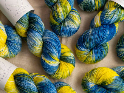 The Starry Night / Falkland Sock