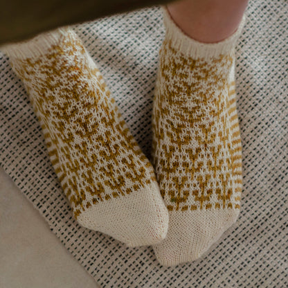 Sock Club 2022 - Colección completa